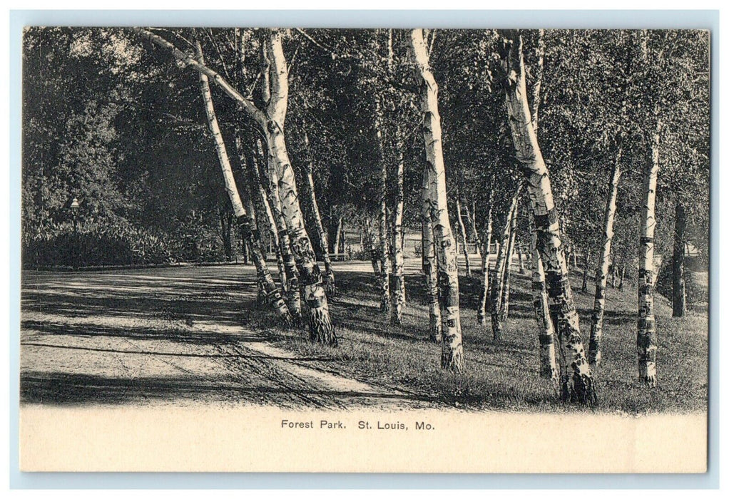 c1910's Forest Park Dirt Road Trees St. Louis Missouri MOAntique Postcard