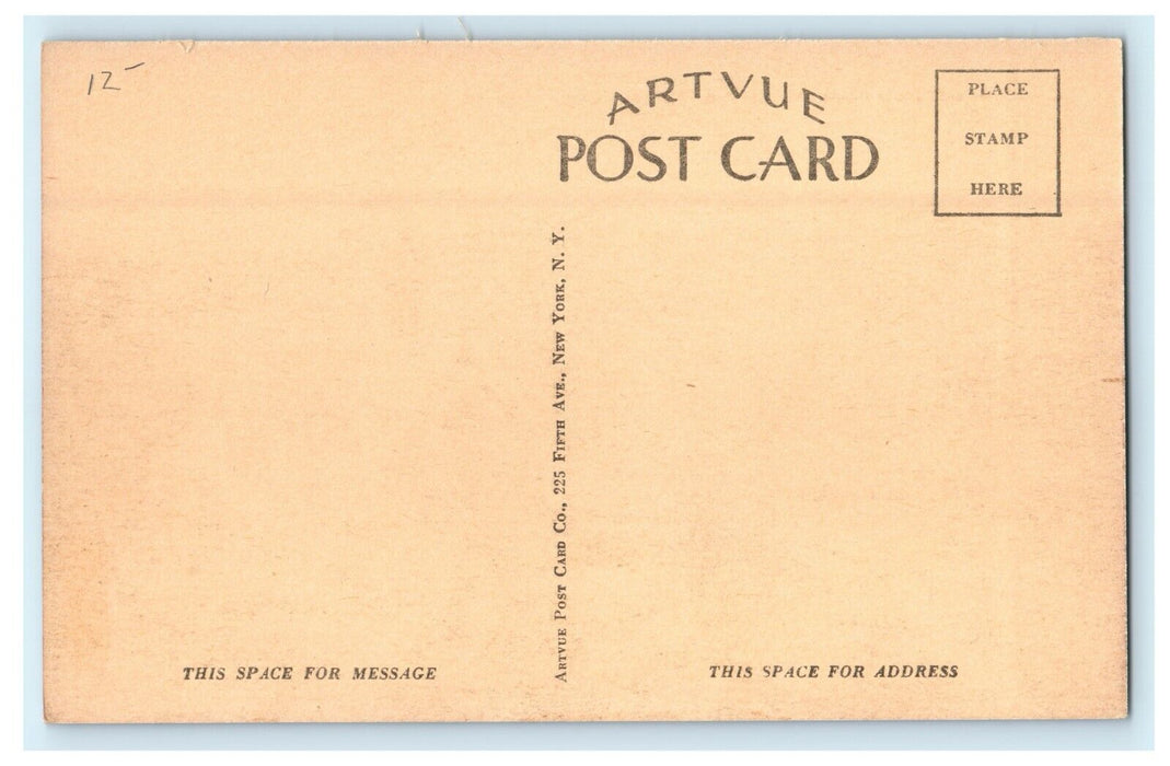 c1905 South East From Dormitory M.S.C. Amherst Massachusetts MA Antique Postcard