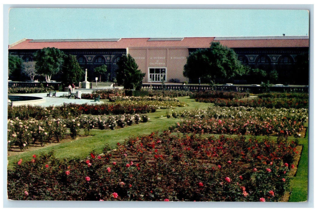 c1950's California State Museum of Science and Industry Exposition Park Postcard