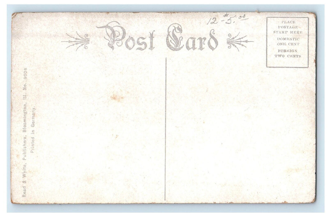 c1910's Brokaw Hospital Bloomington Illinois IL Unposted Antique Postcard