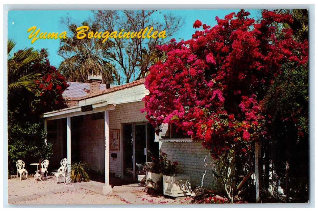 c1960's Yuma Bougainvillea Graces at Yuma Art Center, Yuma Arizona AZ Postcard