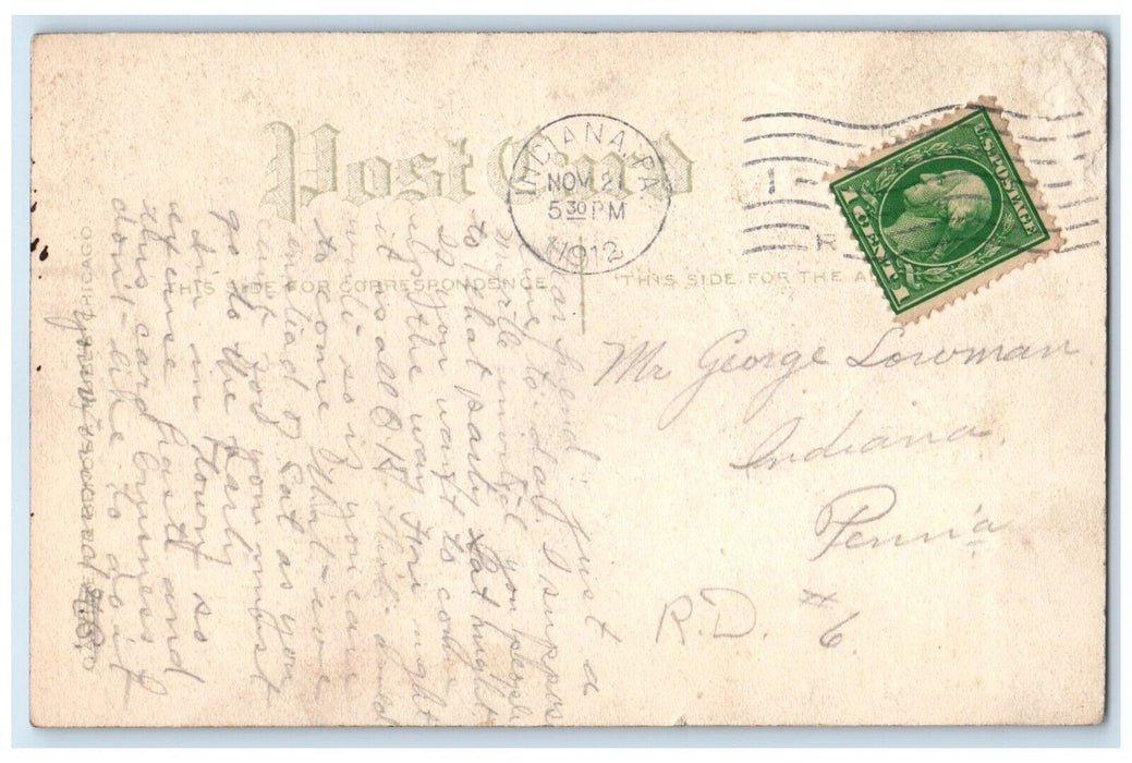 1912 Pretty Woman Curly Hair  Flowers Indiana Pennsylvania PA Antique Postcard