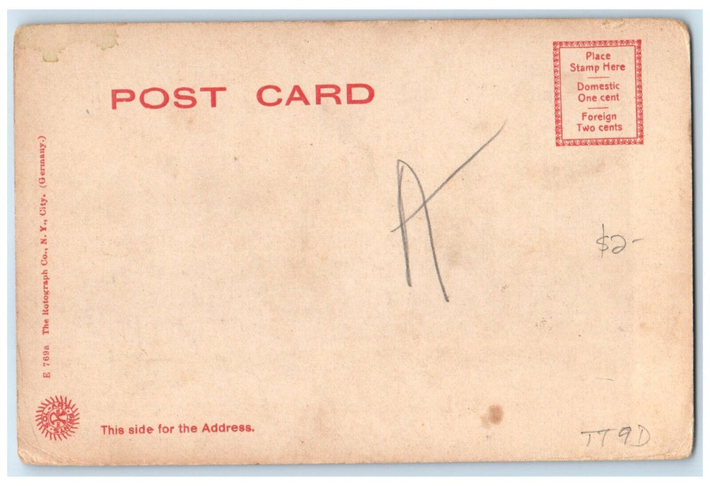 c1905 Exterior View Laurel Pines Horse Carriage Lakewood New Jersey NJ Postcard