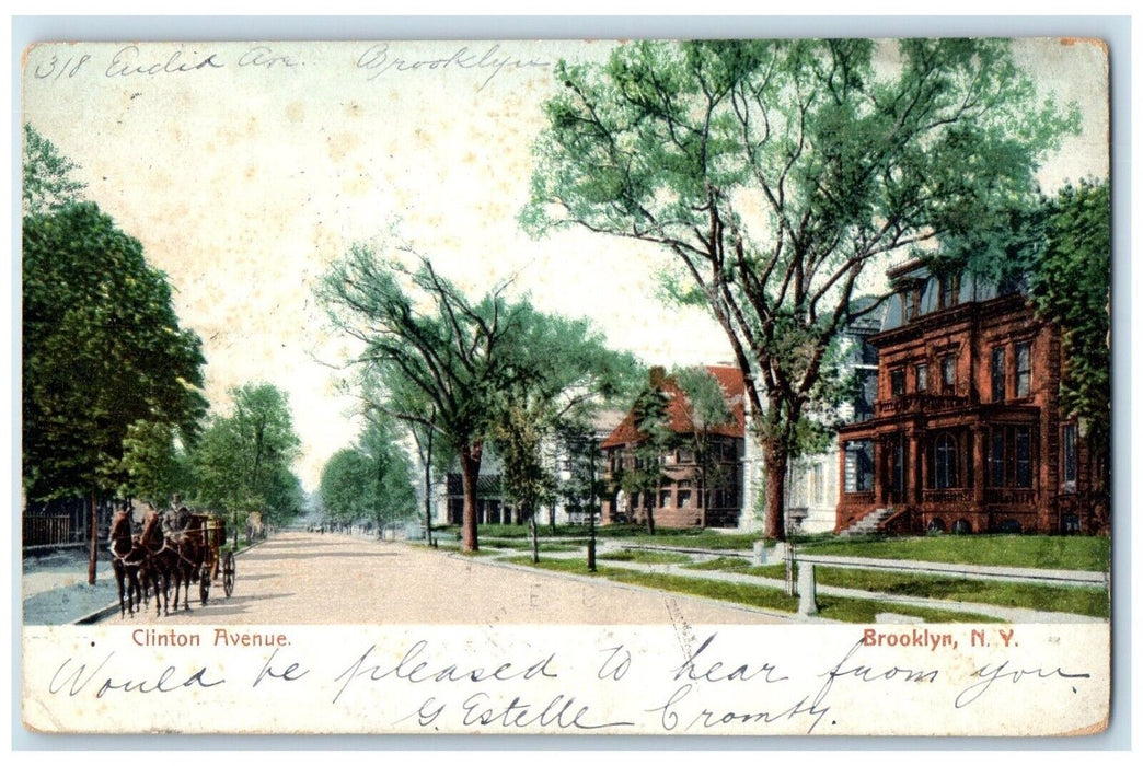 1906 Clinton Avenue Horse Carriage Exterior Houses Brooklyn New York NY Postcard