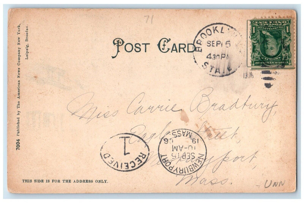 1906 Clinton Avenue Horse Carriage Exterior Houses Brooklyn New York NY Postcard