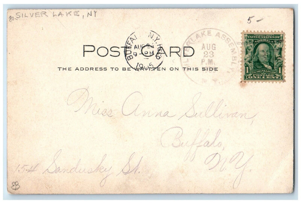 1905 View Of Dirt Road And Trees Silver Lake New York NY RPPC Photo Postcard