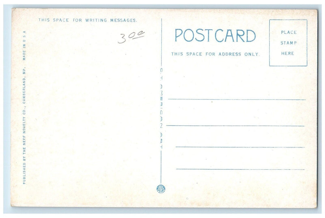 1920 National Highway Bridge Castleman River West Frostburg Maryland MD Postcard