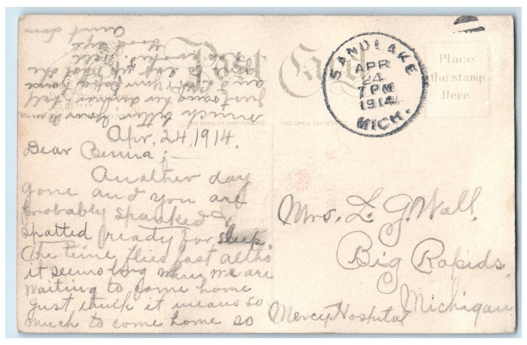 1914 Pretty Woman Big Hat Curly Hair Flowers Big Rapids Michigan MI Postcard