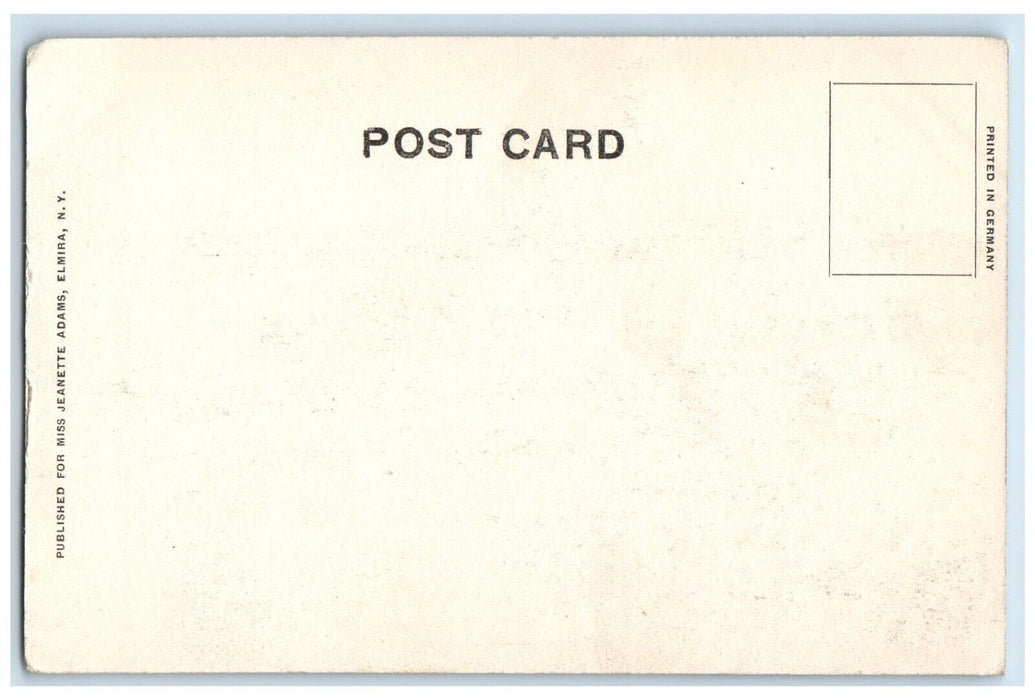 1905 Old City Hall Occupied Alpha Club Exterior Gym Elmira New York NY Postcard