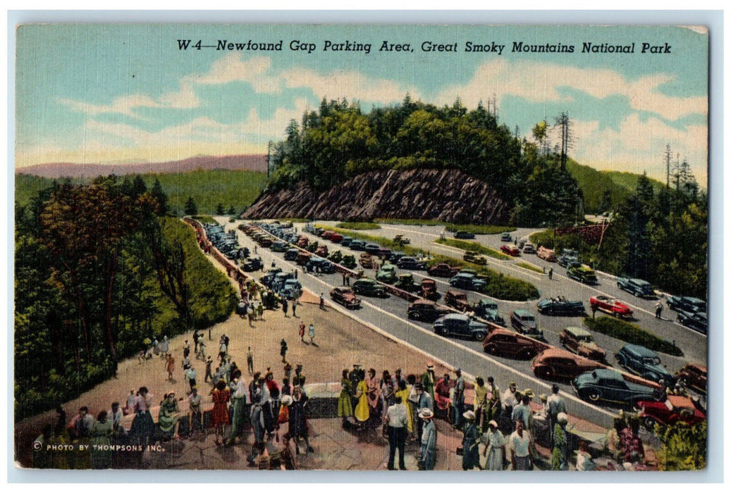c1950's Newfound Gap Parking Area Great Smoky Mountains National Park Postcard