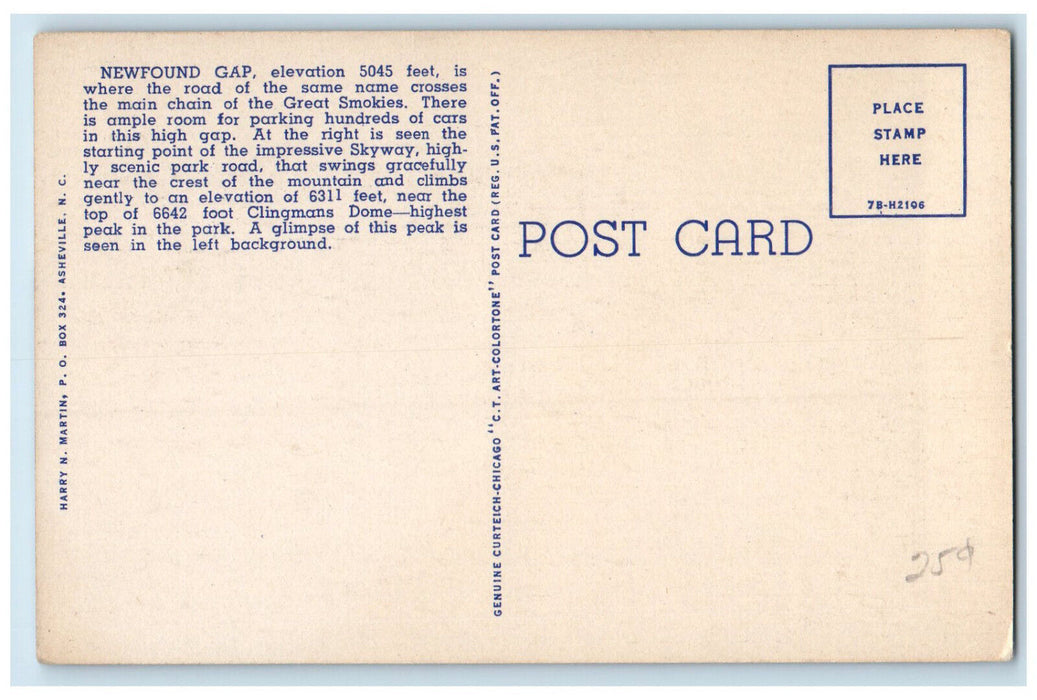 c1950's Newfound Gap Parking Area Great Smoky Mountains National Park Postcard