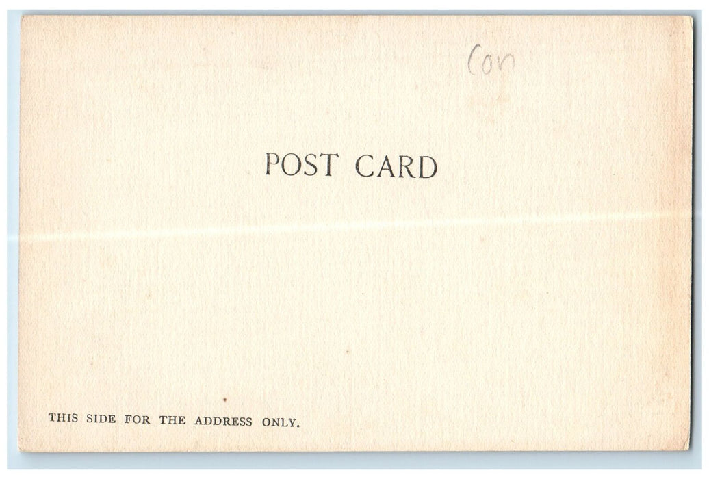 c1905 Woolsey Auditorium Yale University Interior New Haven Conn. CT Postcard
