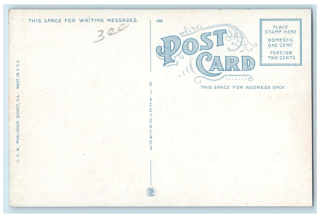 c1920s Excursion Steamer Landing Passengers Quincy Illinois IL Unposted Postcard