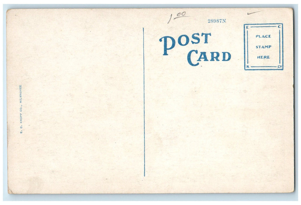 c1920's Dusenbury Hotel St. Petersburg Florida FL Antique Unposted Postcard