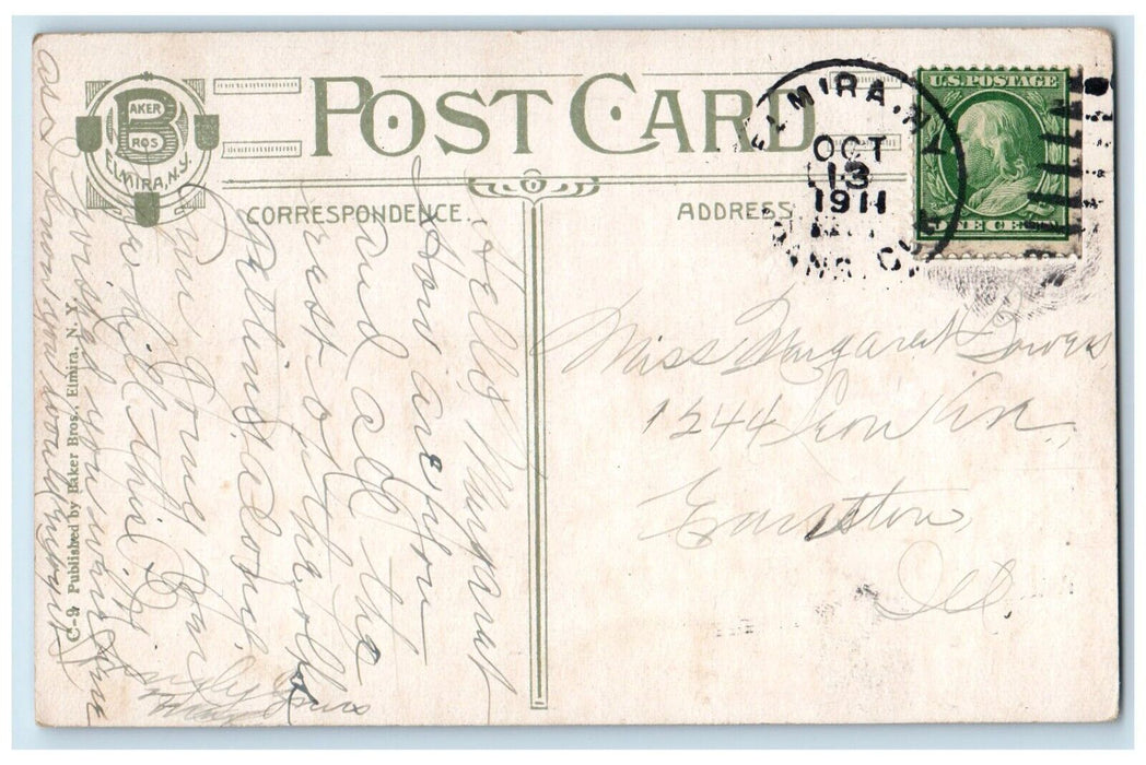 1911 Birds Eye View Roricks Glen Park Chemung River Elmira New York NY Postcard