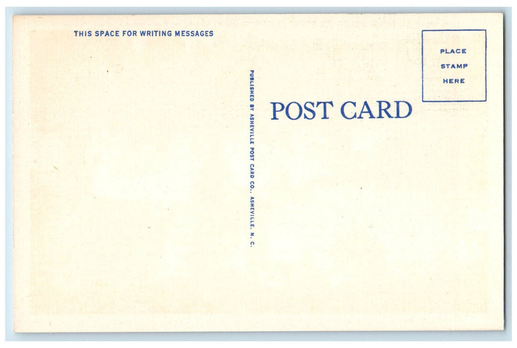 c1930's Lodge On Mount Le Conte Great Smoky Mountains National Park Postcard