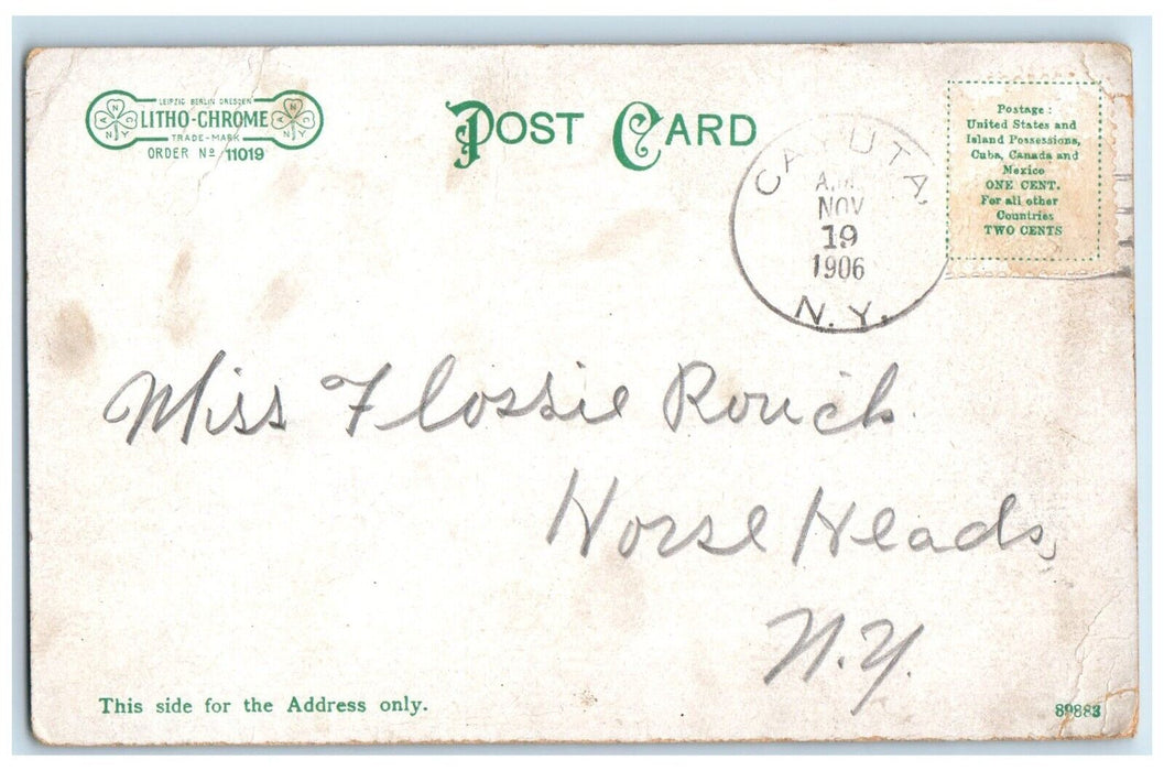 1906 New Lyceum Theatre Chairs Auditorium Interior  Elmira New York NY Postcard