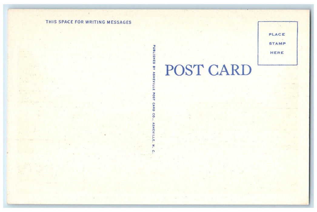 c1930's National Cemetery US Veterans Administration Home Tennessee TN Postcard