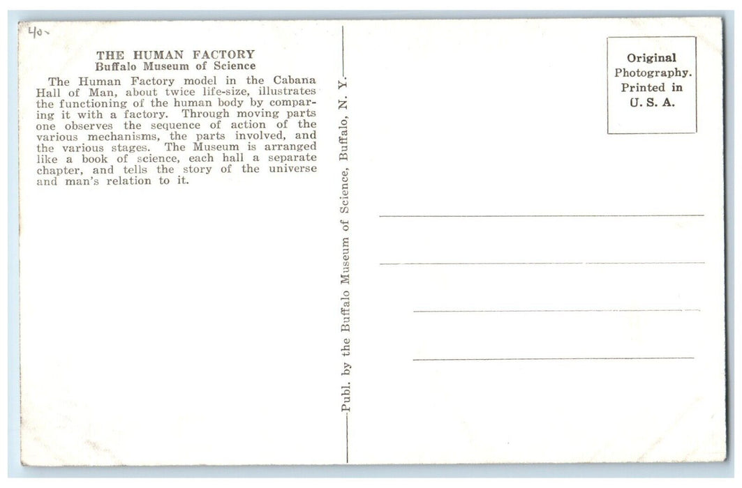 The Human Factory Buffalo Museum Of Science New York NY RPPC Photo Postcard