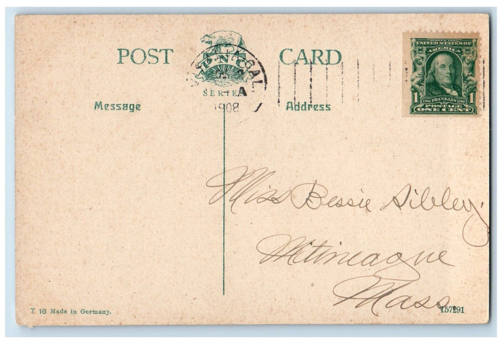 1908 Kaweah River Redstone Park Swamp Trees Tulare Co. California PNC Postcard