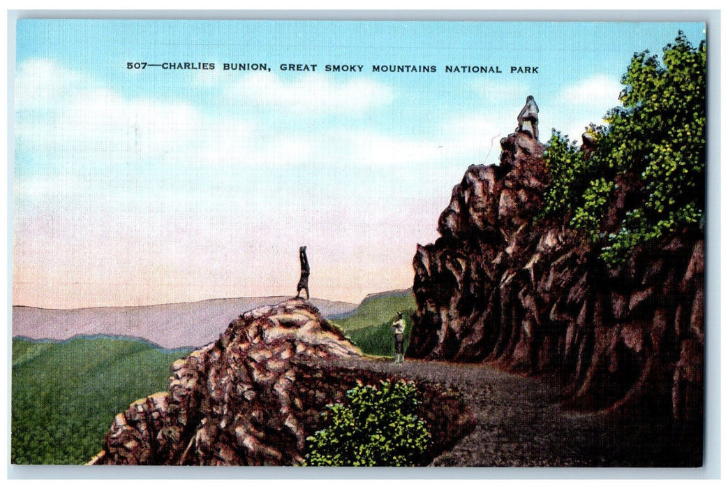 c1950's Charlies Bunion Great Smoky Mountains National Park Vintage Postcard