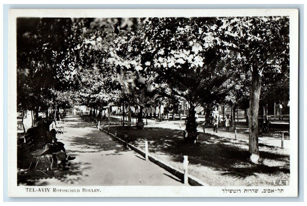 c1910's Rothschild Boulevard Trees Tel Aviv Israel Antique RPPC Photo Postcard