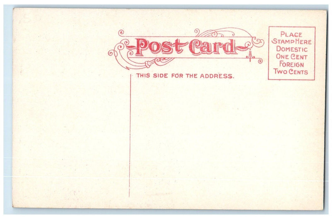 c1910 Ak-Sar-Ben Illumination Moonlight Moon Night Road Omaha Nebraska Postcard