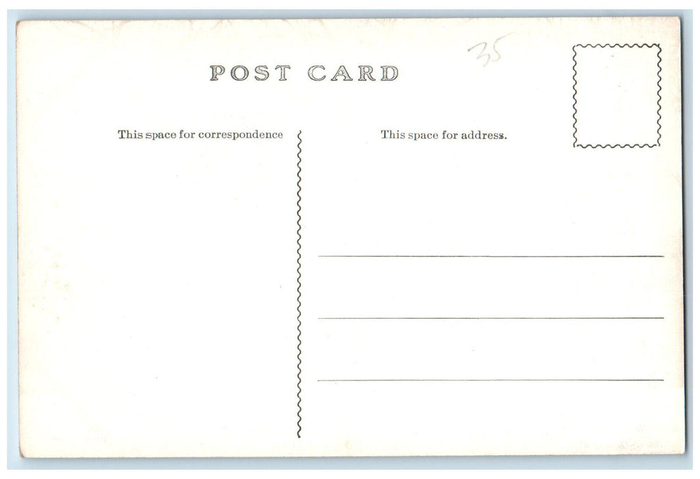 Public Library Street Trees Exterior Scene Iowa City, Iowa IA Antique Postcard