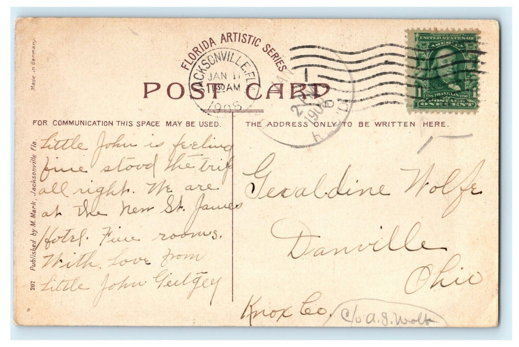 1908 Just Arrived at Ostrich Farm, Jacksonville Florida FL Antique Postcard