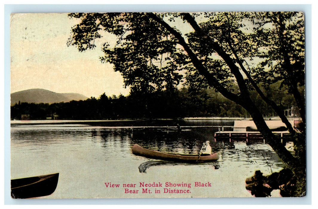 1914 View Near Neodak Showing Black Bear Mt. in Distance New York NY Postcard