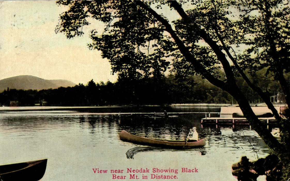 1914 View Near Neodak Showing Black Bear Mt. in Distance New York NY Postcard
