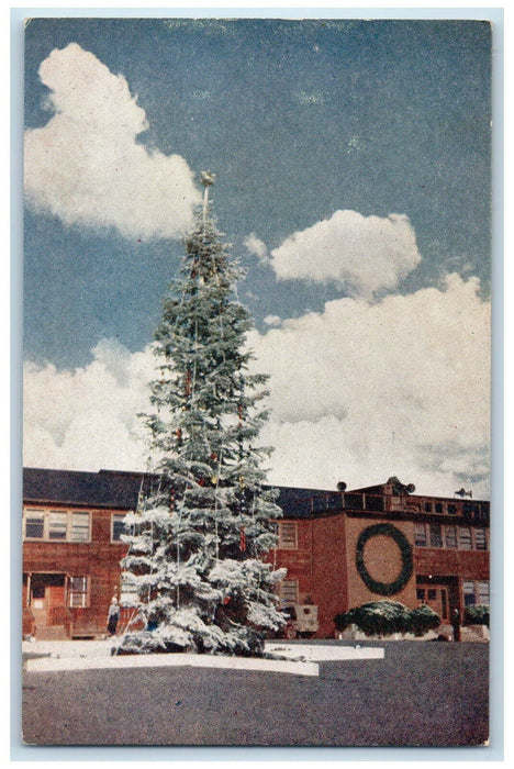 1944 Christmas Tree Construction Battalion Replacement Depot CA Postcard
