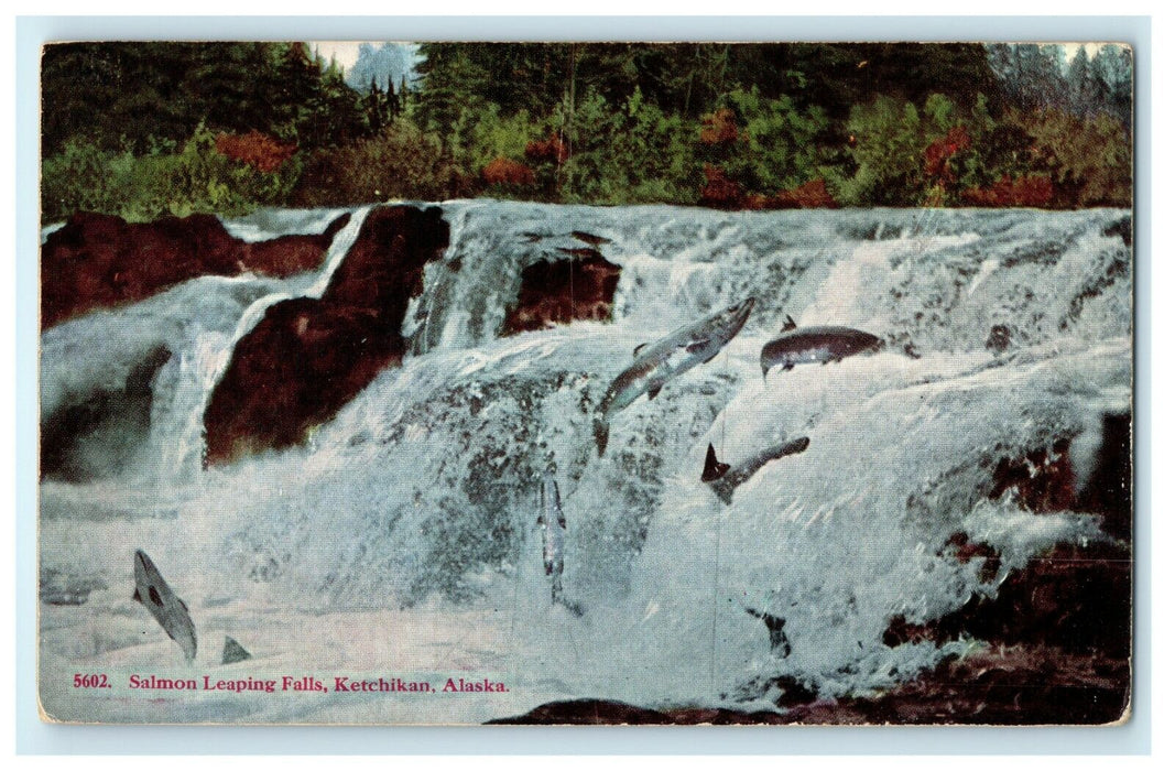 1913 Salmon Leaping Falls, Ketchikan, Alaska AK Antique Postcard
