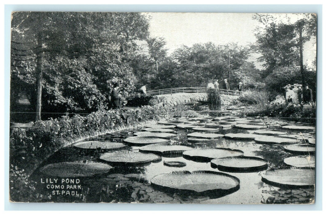 1910 People Looking at Lily Pond in Como Park, St. Paul Minnesota MN Postcard