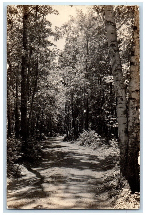 1941 Forest Trail View Minocqua Wisconsin WI RPPC Photo Posted Postcard