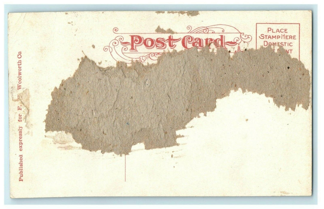 Main Street Fremont Nebraska Unposted Circa 1910 Vintage Antique Postcard