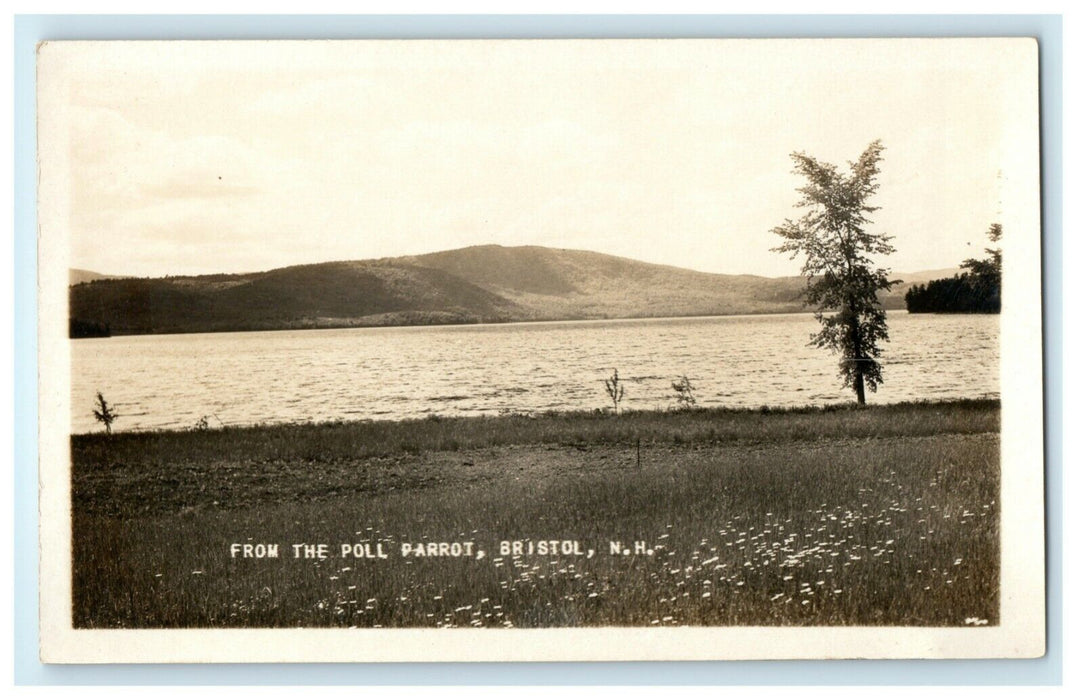 c1930's From the Poll Parrot Bristol New Hampshire NH RPPC Photo Postcard