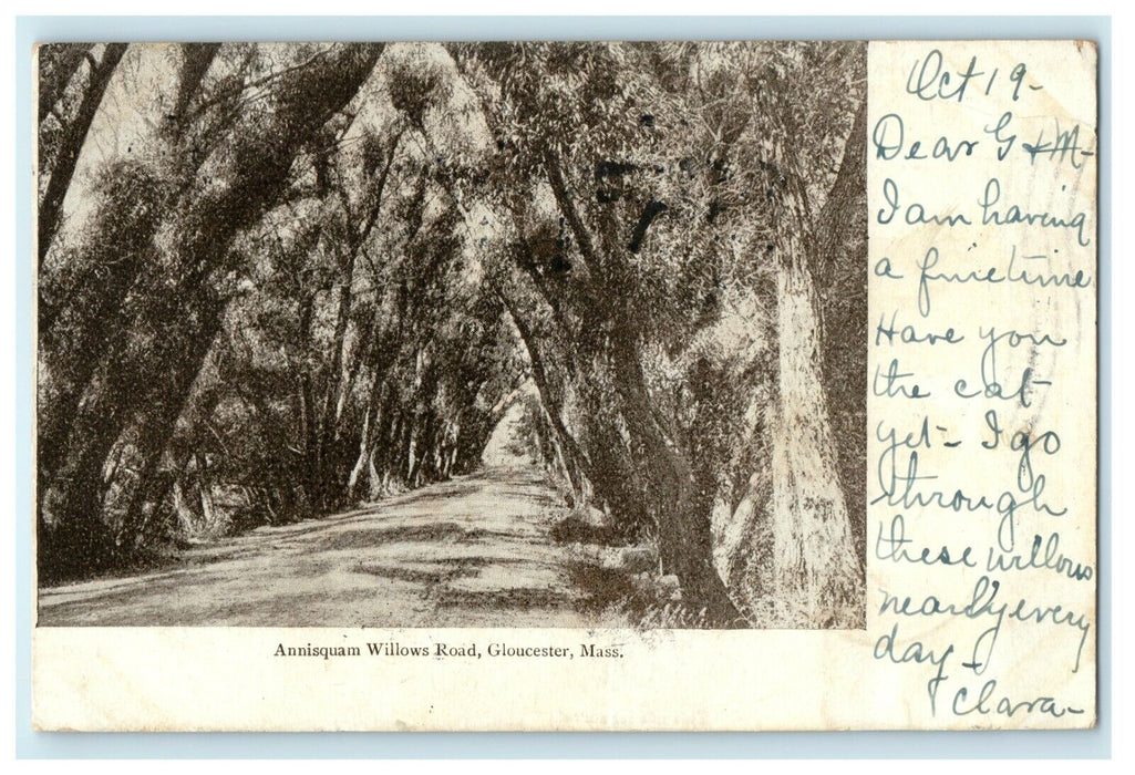 1906 Annisquam Willows Road, Gloucester, Massachusetts MA Postcard