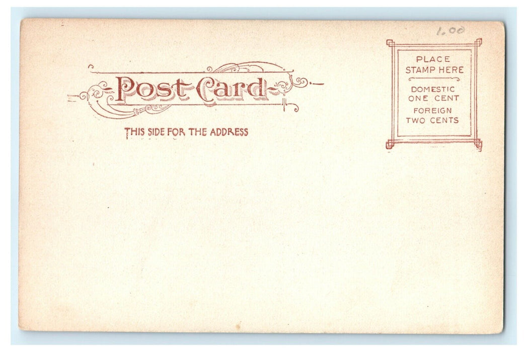 1905 Annisquam Willows, Gloucester, Massachusetts MA Postcard