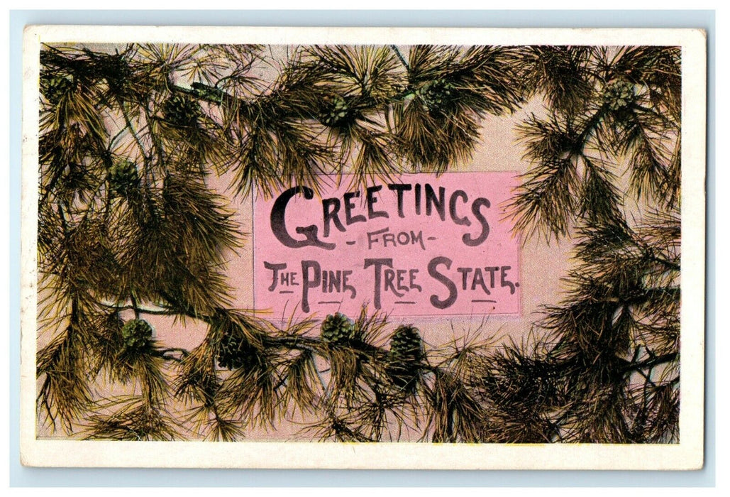 1927 Greetings from The Pine Tree State Maine ME Posted Vintage Postcard