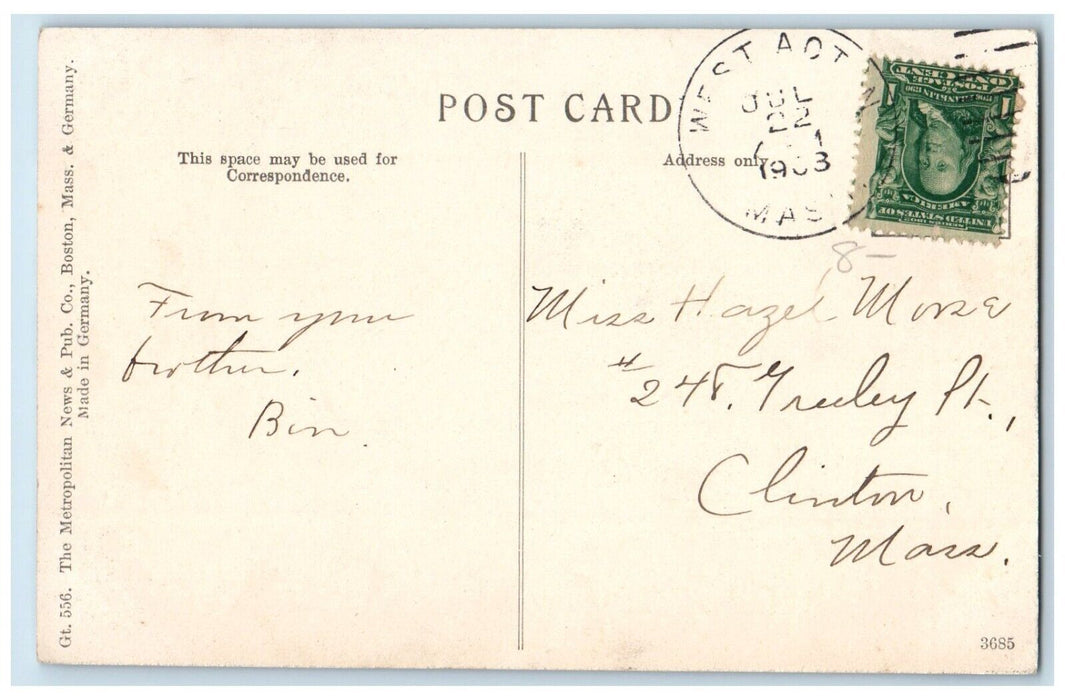 View Of Littleton House Trees Chimney Massachusetts MA Posted Antique Postcard