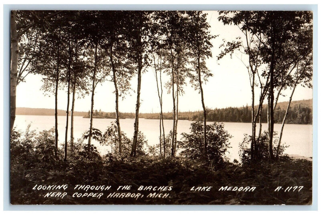 c1925 Looking Through Birches Lake Medora Copper Harbor MI RPPC Photo Postcard