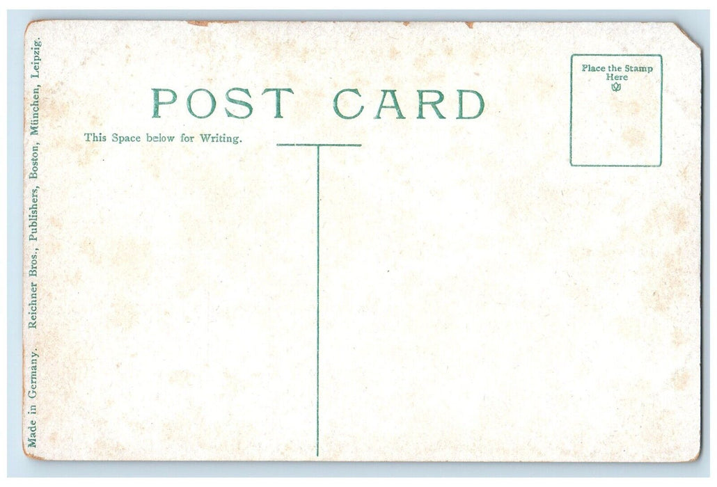 View Of Pine Banks Jamaica Pond Massachusetts MA Unposted Vintage Postcard