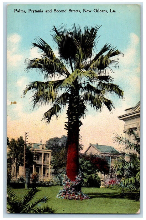 c1910's Palms Prytania And Second Streets New Orleans Louisiana LA Postcard