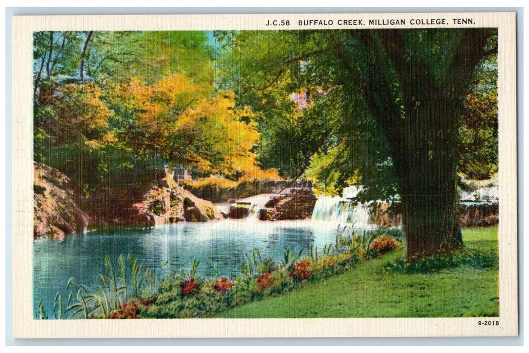 c1930's Buffalo Creek Milligan College Tennessee TN, Waterfall Vintage Postcard