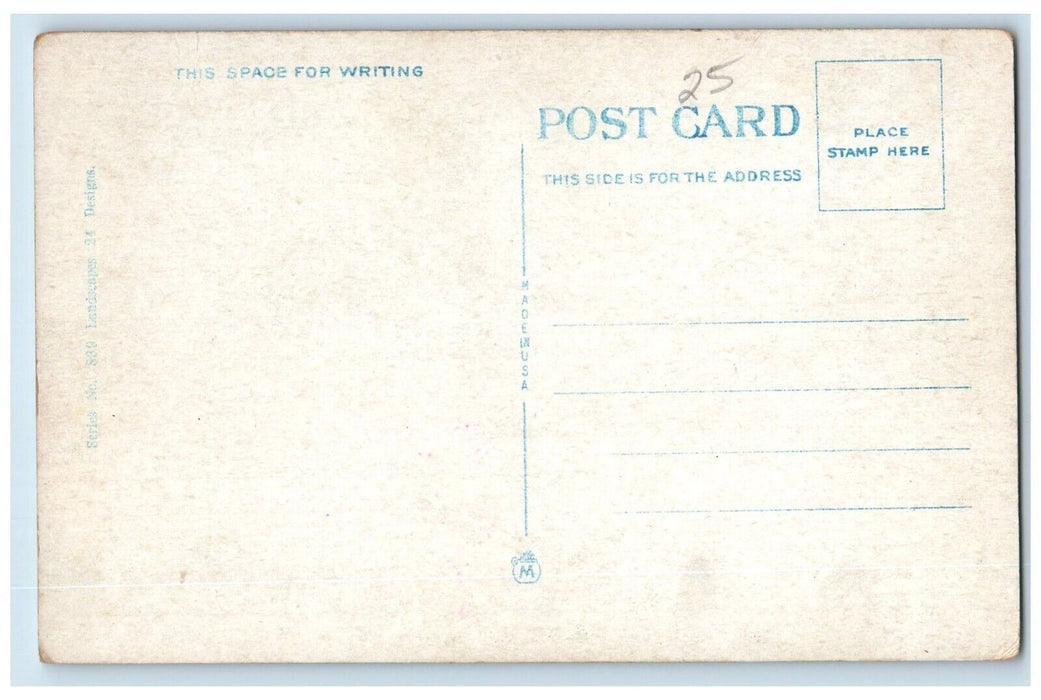 c1930's Greetings From Durant Iowa IA, On White Way Car Dirt Road Postcard