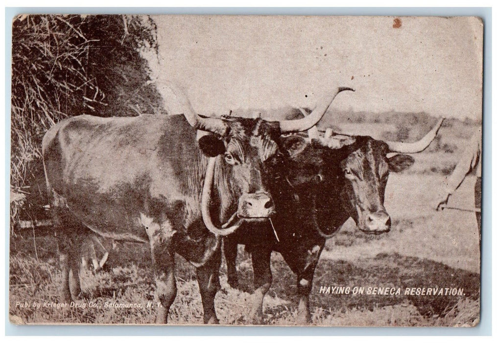 c1950 Haying On Seneca Reservation Buffalo Farmer Salamanca New York NY Postcard