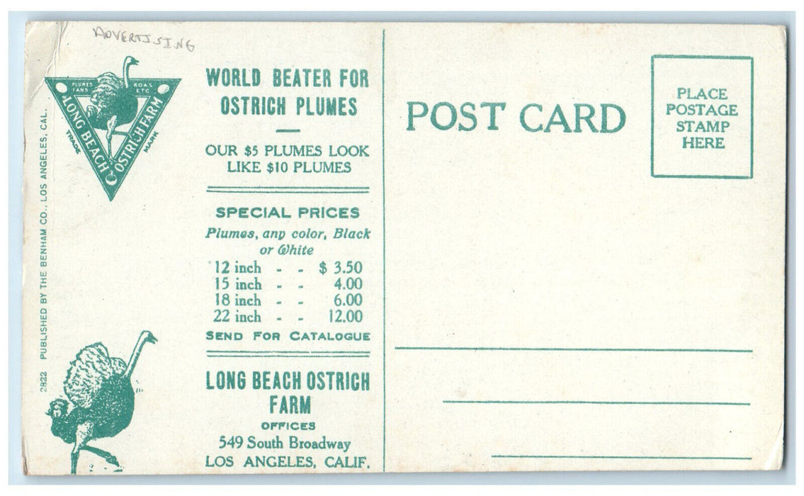 View Showing  Part Of Long Beach Ostrich Farm California CA Advertising Postcard