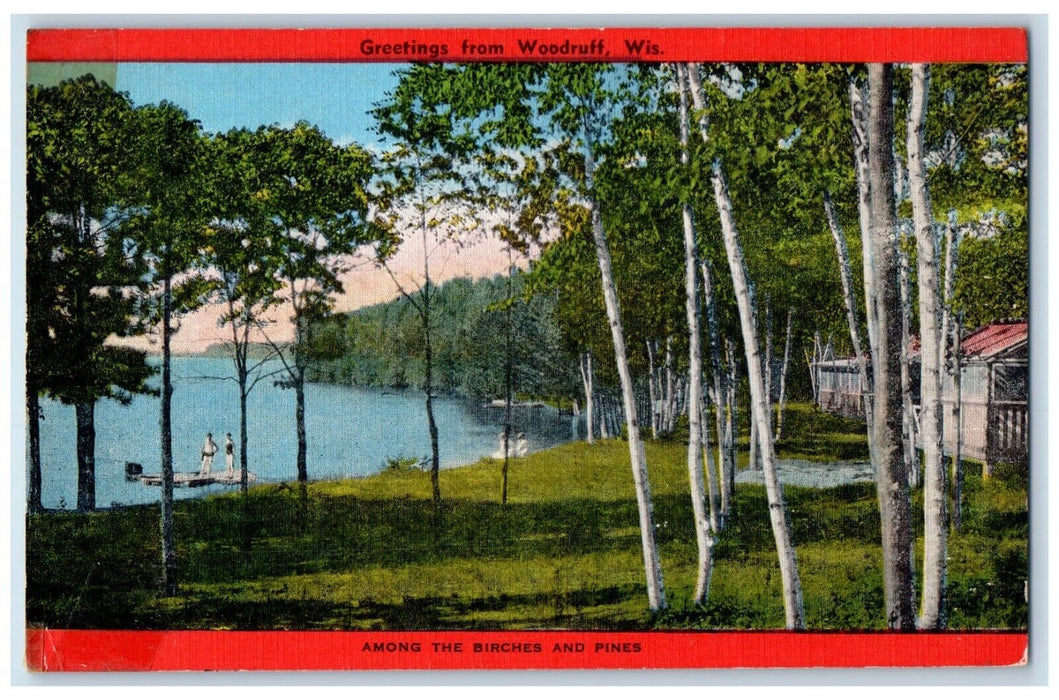 1949 Among Birches Pines Lake River Greetings From Wood Wisconsin WI Postcard