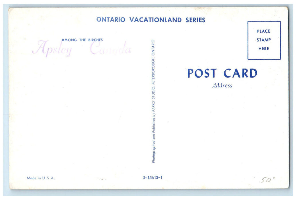 c1960's Among The Birches Ontario Vacationland Series Apsley Canada Postcard